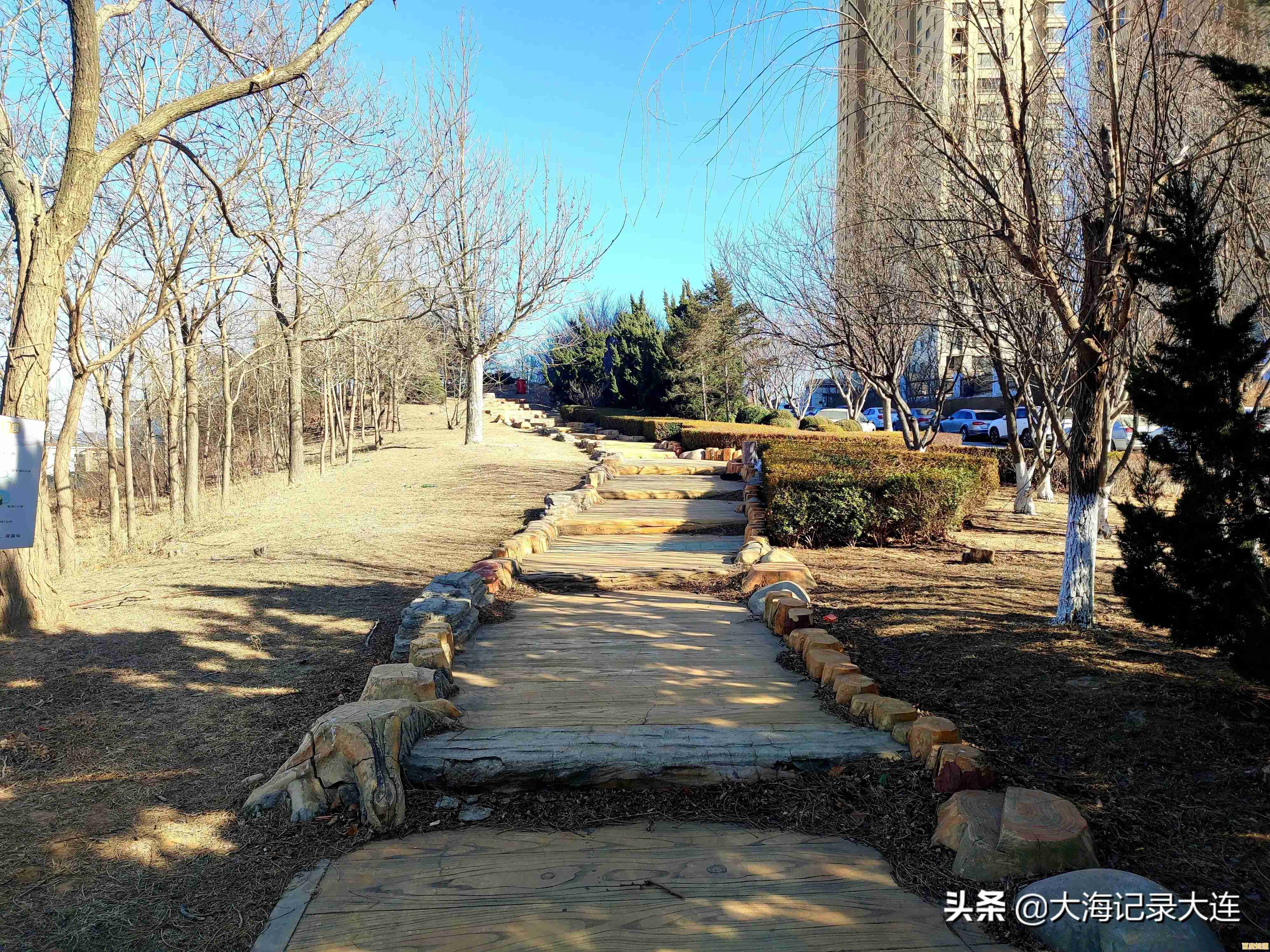 2025中国象棋APP下载全攻略：快速提升手机博弈实力