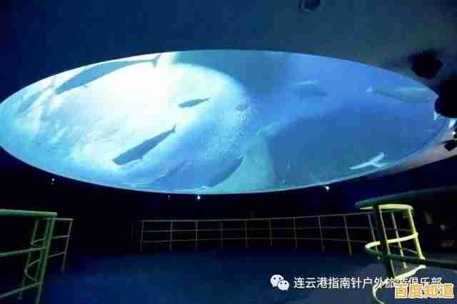 沉浸式海洋冒险体验:大白鲨游戏机带来极致畅快的游戏乐趣! 沉浸式海洋冒险体验:大白鲨游戏机带来极致畅快的游戏乐趣!