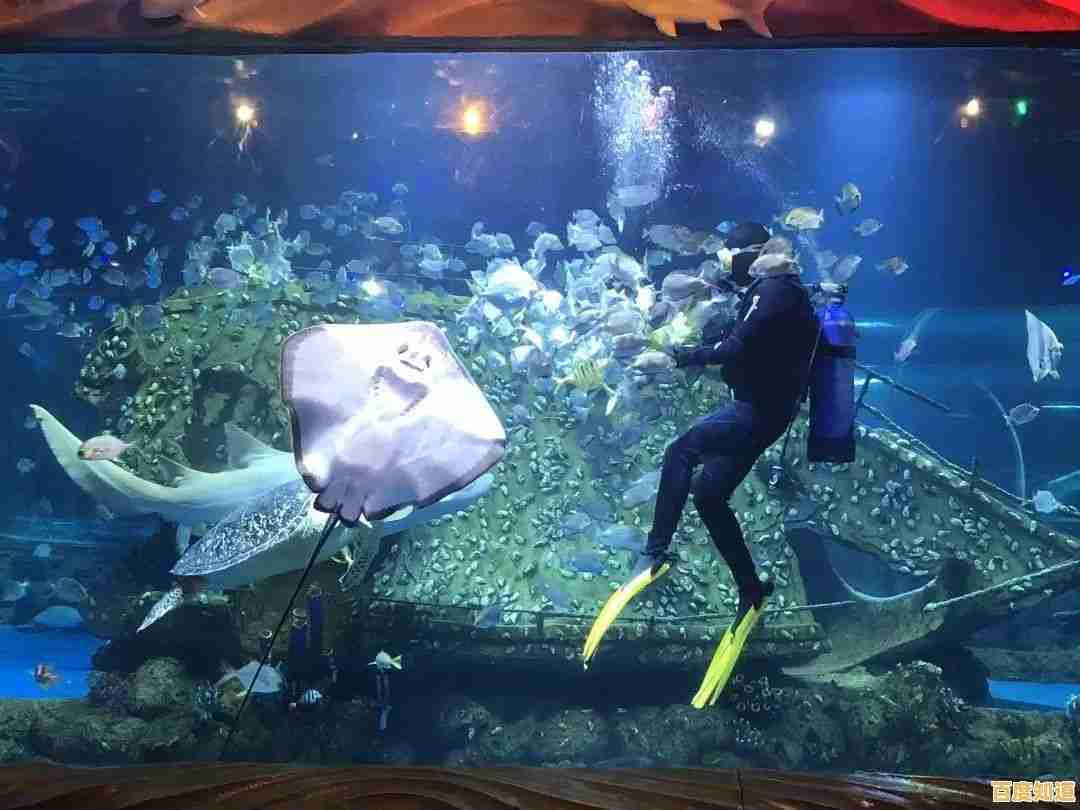 沉浸式海洋冒险体验:大白鲨游戏机带来极致畅快的游戏乐趣! 沉浸式海洋冒险体验:大白鲨游戏机带来极致畅快的游戏乐趣!