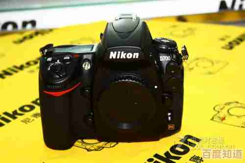 掌握尼康相机天梯图阅读技巧，快速定位理想机型