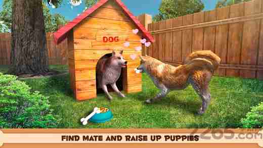 还在找无需网络的萌宠游戏？会说话的狗狗本单机版》不试试吗？