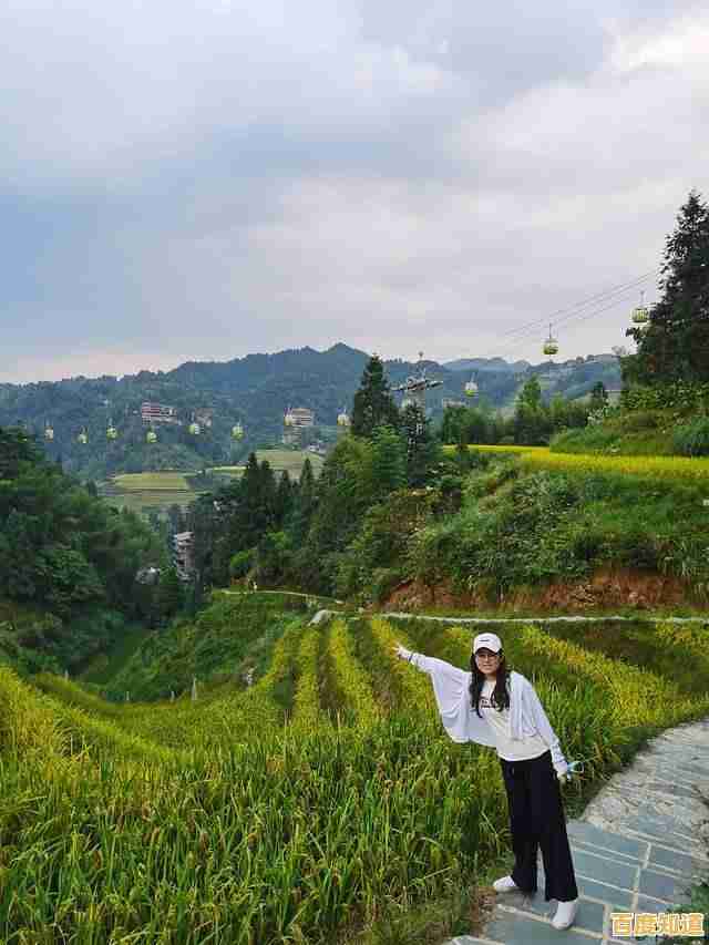 最新移动显卡天梯图发布:2022年度笔记本显卡性能深度对比 最新移动显卡天梯图发布:2022年度笔记本显卡性能深度对比