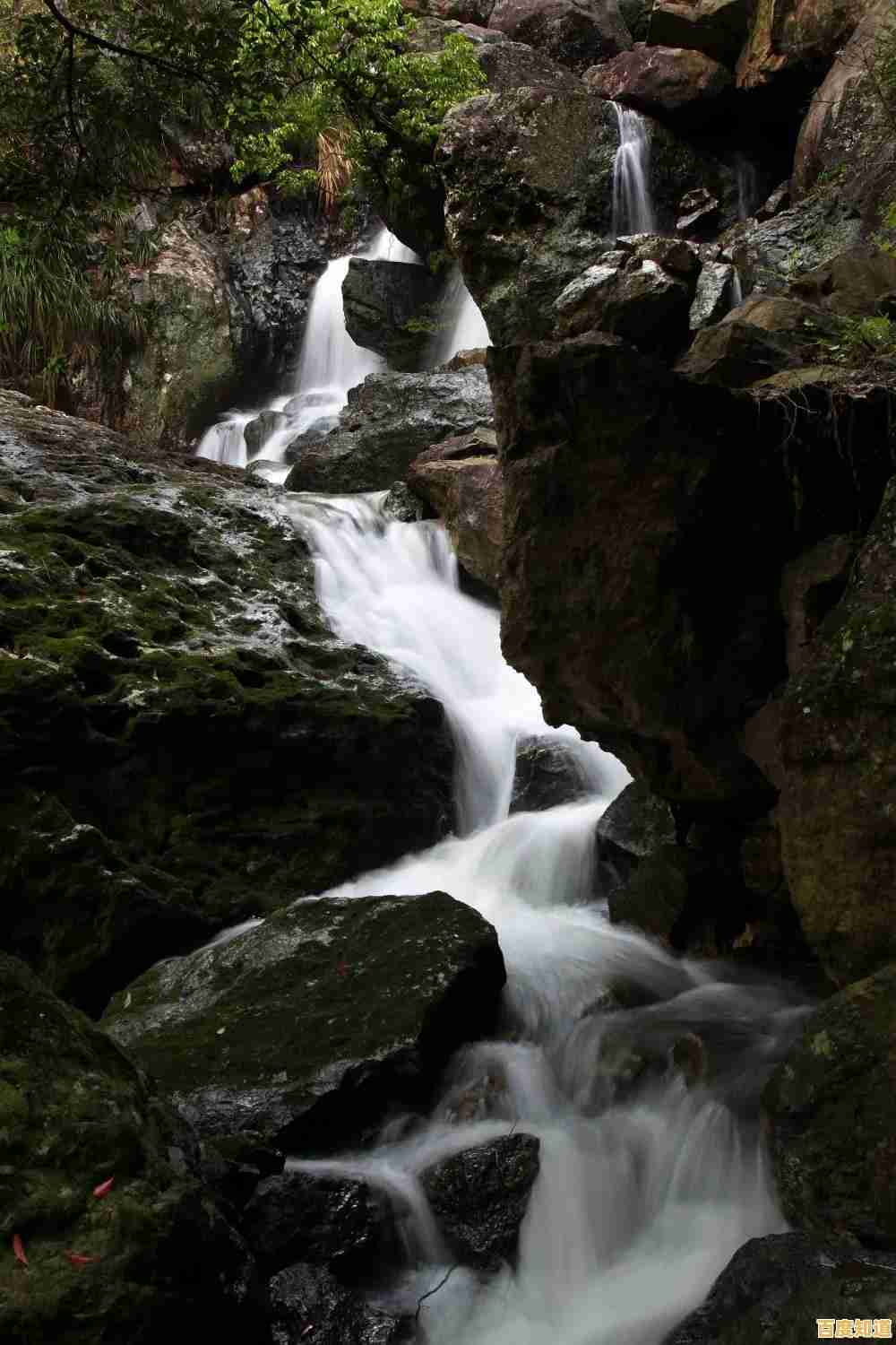 害怕突然出现的怪兽?绝望黑暗洞穴挑战你的反应极限! 害怕突然出现的怪兽?绝望黑暗洞穴挑战你的反应极限!