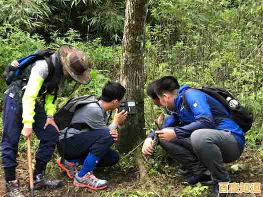 电脑系统一键还原详细步骤教程,轻松恢复初始状态 电脑系统一键还原详细步骤教程,轻松恢复初始状态