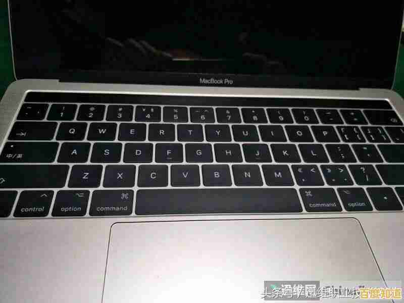 Windows 11开机后键盘失灵？排查与解决方法全解析