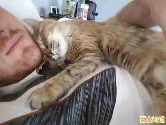 电脑闹钟：智能科技如何温柔唤醒您的每个清晨