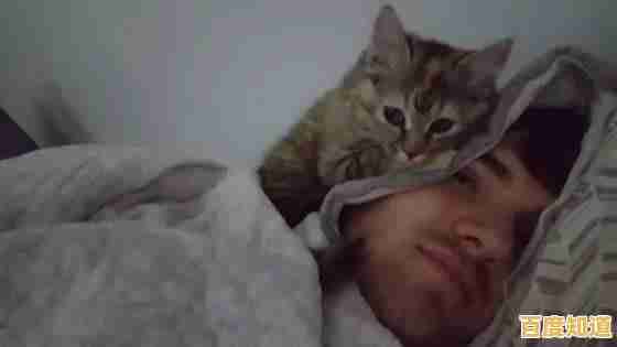 电脑闹钟：智能科技如何温柔唤醒您的每个清晨