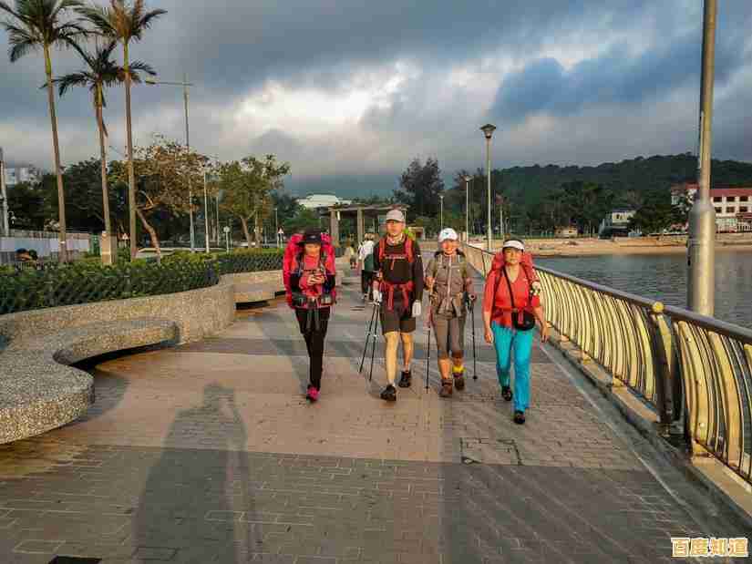 电脑系统重装不求人，小白用户快速上手软件操作指南