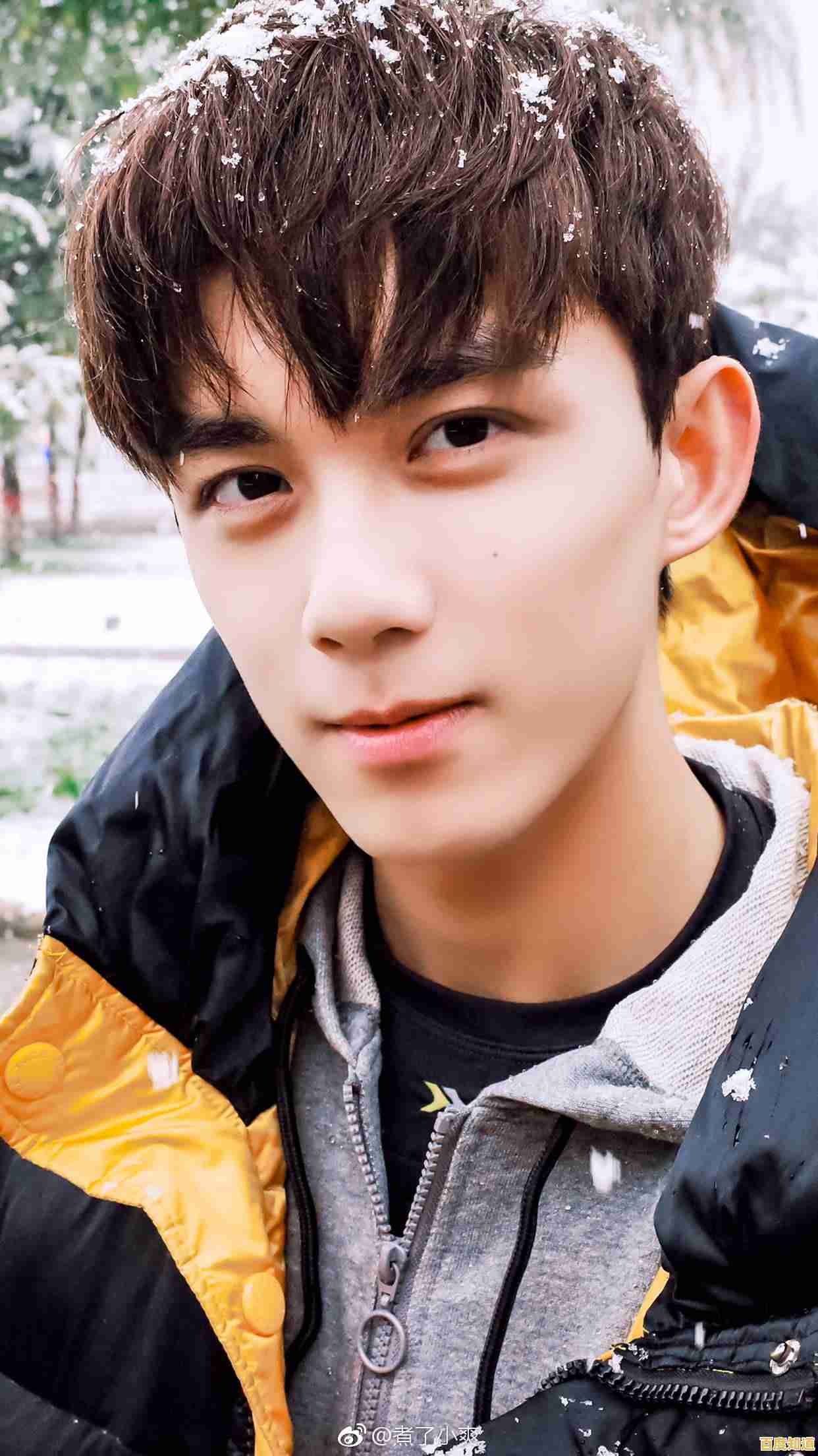 想要体验唯美治愈的冒险之旅?光遇正版》的画风与探索玩法你怎能错过! 想要体验唯美治愈的冒险之旅?光遇正版》的画风与探索玩法你怎能错过!