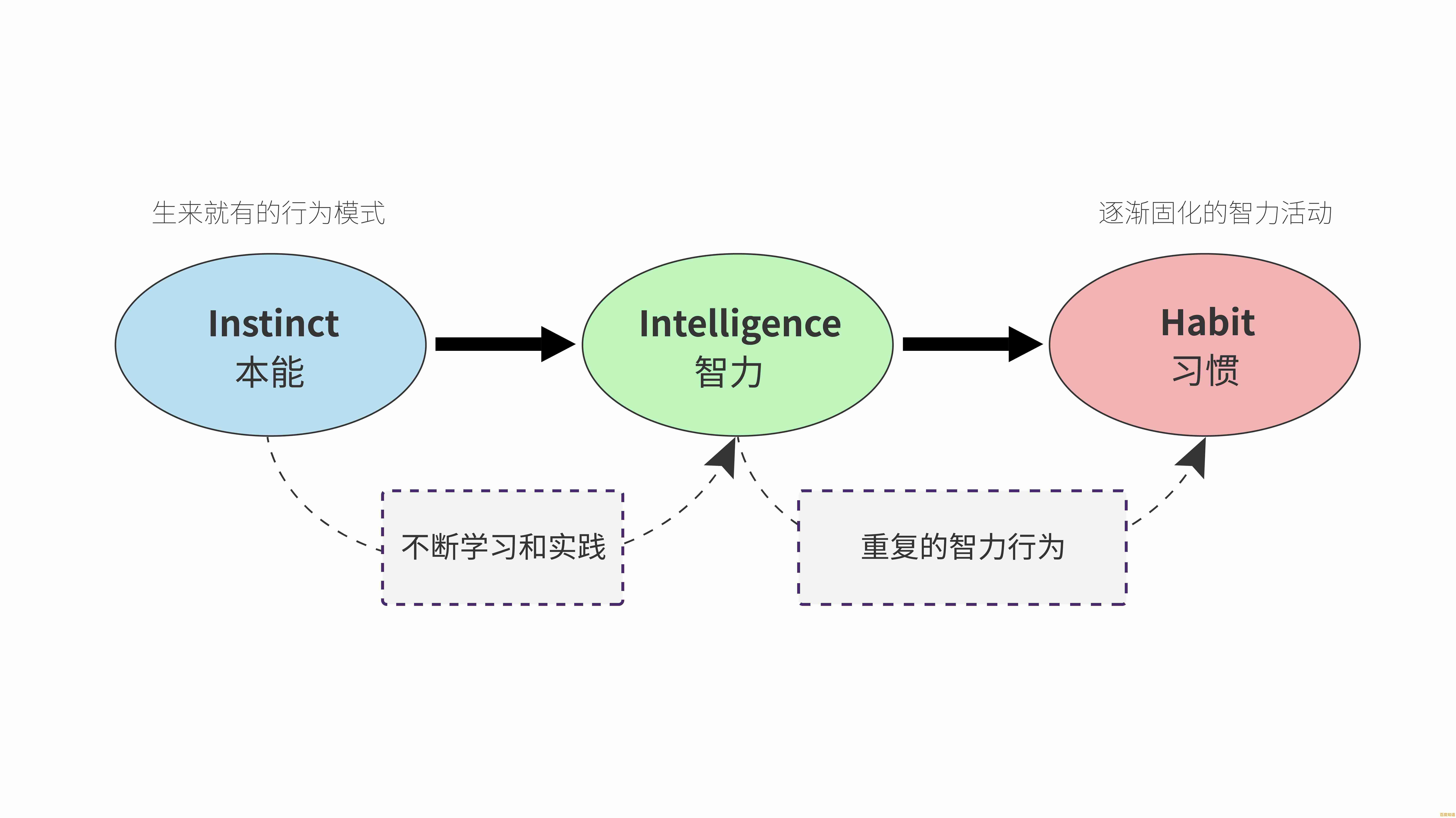 电脑租赁的智慧选择:发掘核心优势并规避潜在风险 电脑租赁的智慧选择:发掘核心优势并规避潜在风险