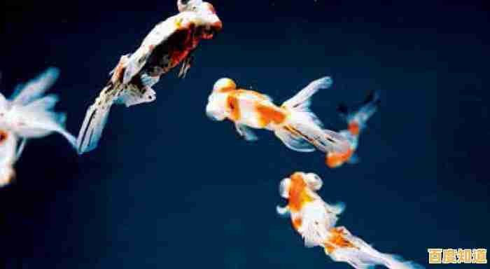 实用指南：小鱼带您一步步操作如何打开ISO文件