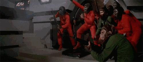 既能生产苦力又得保护堡垒,这么萌的《猫狗大战》你玩过没? 既能生产苦力又得保护堡垒,这么萌的《猫狗大战》你玩过没?