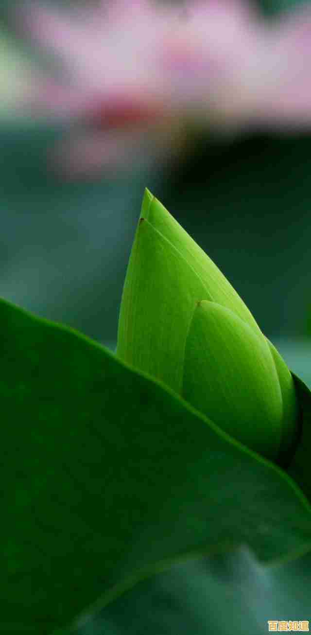 详细教程:华为手机连接电脑的多种实用技巧分享 详细教程:华为手机连接电脑的多种实用技巧分享