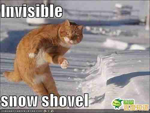 谁说养成游戏只能单调？我的萌宠进化日记》带你的猫咖萌宠去海边度假，不来试试吗？