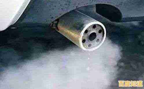 指令挑战与时尚搭配两不误?加查Nox免费版让你畅玩到底,怎能错过? 指令挑战与时尚搭配两不误?加查Nox免费版让你畅玩到底,怎能错过?