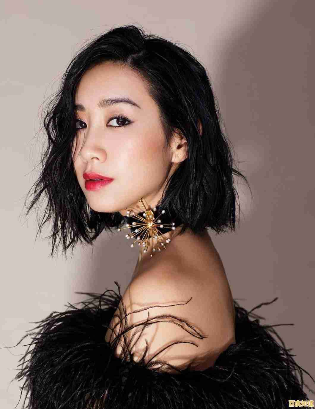 2008年显卡性能天梯图全解析:排名对比与选购技巧指南 2008年显卡性能天梯图全解析:排名对比与选购技巧指南