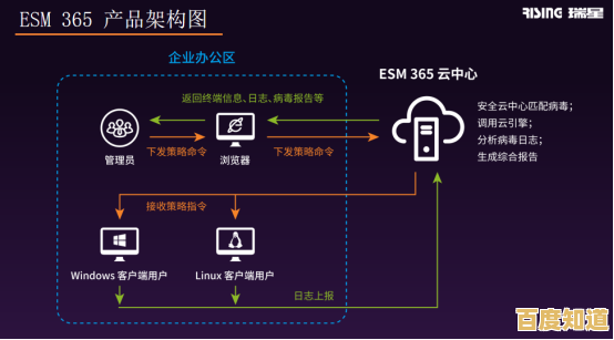 深入探讨PE：从基本定义到实际应用场景介绍