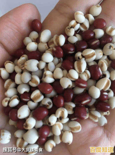 想在校园中体验自由探索的乐趣?快来试试《夏日变形计》吧! 想在校园中体验自由探索的乐趣?快来试试《夏日变形计》吧!