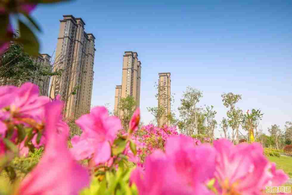 碧蓝航线战舰少女征程指南:最新天梯图助你制霸海洋战场 碧蓝航线战舰少女征程指南:最新天梯图助你制霸海洋战场