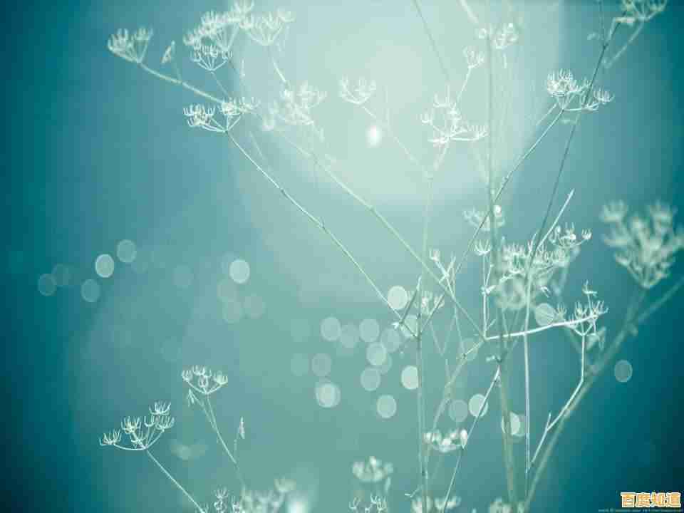 掌握PPT背景图选择技巧，让演示效果瞬间提升档次