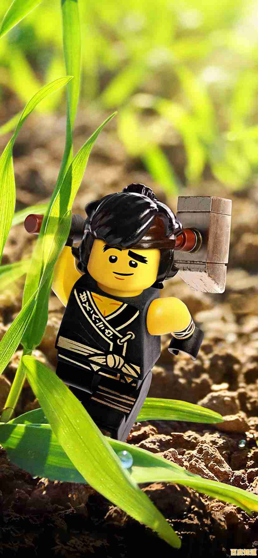 超多玩法+顶尖物理引擎，乐高幻影忍者》不来挑战一下？