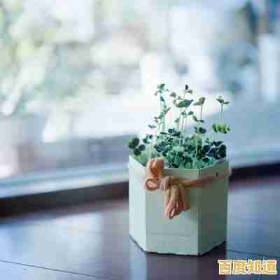 解锁微博会员的独特优势，让你的社交体验更上一层楼！