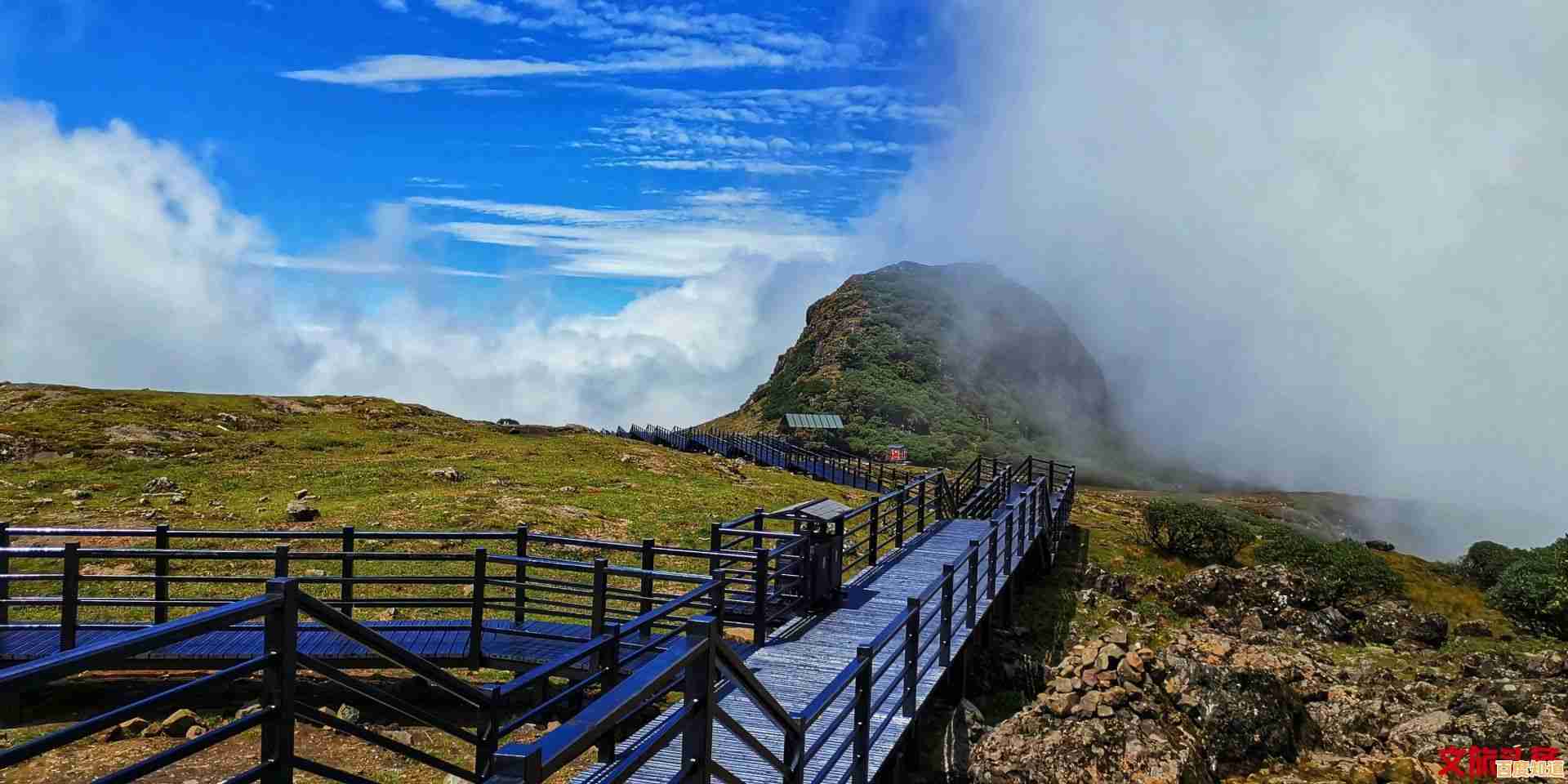 最佳相机选购指南：天梯排名解析各大品牌明星机型，轻松拍出专业级作品！