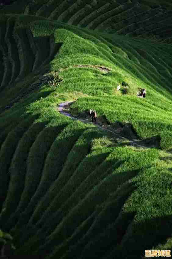 最佳相机选购指南：天梯排名解析各大品牌明星机型，轻松拍出专业级作品！