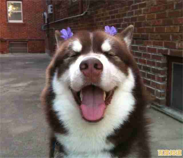 想体验地下世界的激烈战斗？虫虫争霸战"多种模式等你来战！