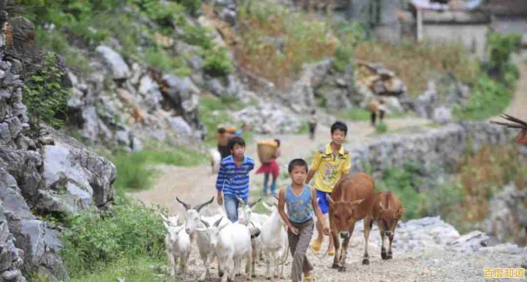 核显天梯图2021版发布！主流集成显卡性能对比一目了然