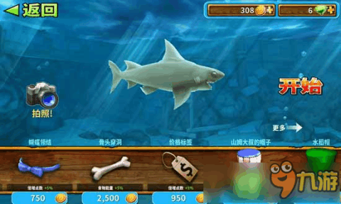 谁说进化之路只能孤单?快来《饥饿鲨进化中文版》开启你的鲨鱼征服之旅! 谁说进化之路只能孤单?快来《饥饿鲨进化中文版》开启你的鲨鱼征服之旅!