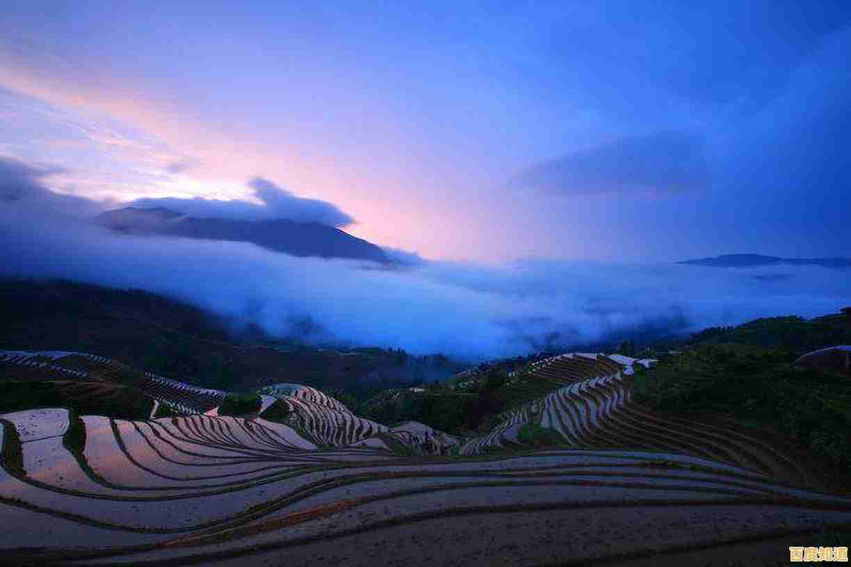 相机选购指南:天梯图深度解读,一眼看懂各品牌优劣! 相机选购指南:天梯图深度解读,一眼看懂各品牌优劣!
